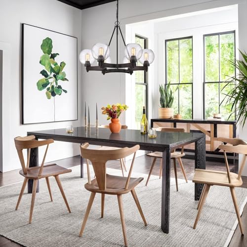 1 Pack Clear Seeded Glass Shades