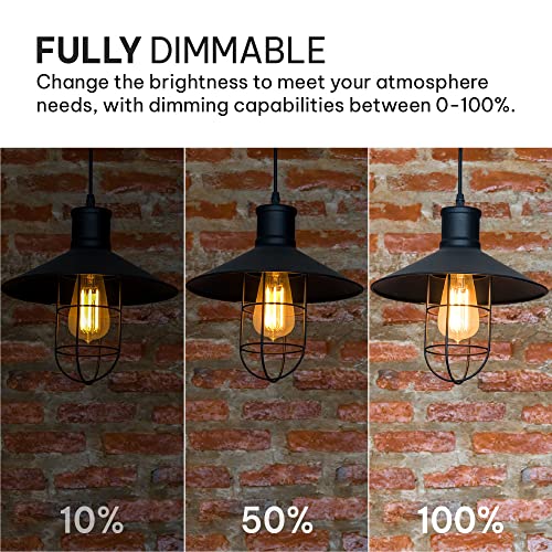 Vintage LED Edison Light Bulbs (6 Count)