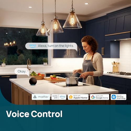 Matter Smart Edison Light Bulbs
