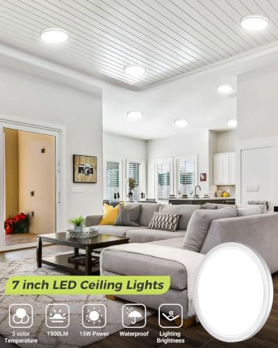 2PACK LED Flush Mount Ceiling Light (2 Count)