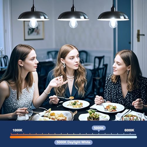 4Pack Edison Light Bulbs (4 Count)