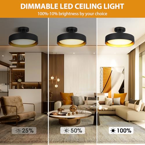 Semi Flush Mount LED Ceiling Light 3000K