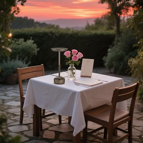 2 Pack Cordless Table Lamps Rechargeable (2 Count)