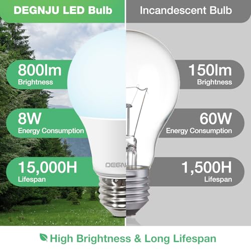 LED Light Bulbs 60W Equivalent (24 Count)