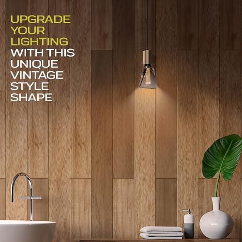 Decorative Light Bulb Eq 20W ICE Style Shaped E26 Led Bulb Medium Base (3 Count)
