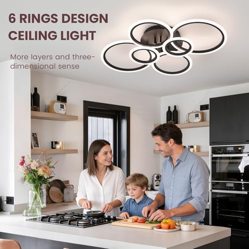 Modern Ceiling Light