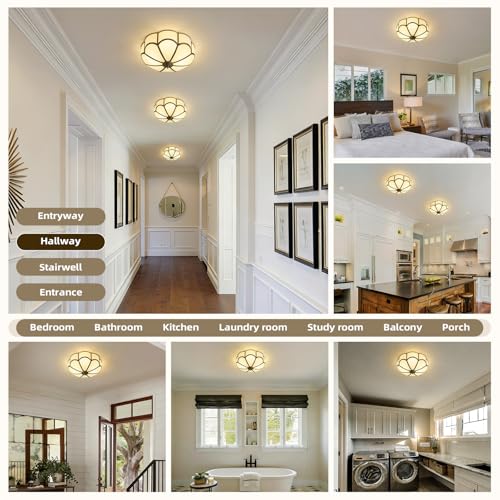 Vintage Black Bronze Ceiling Light