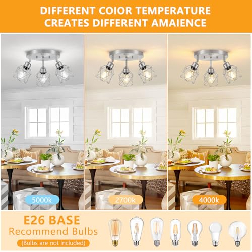 Kitchen Flush Mount Ceiling Light