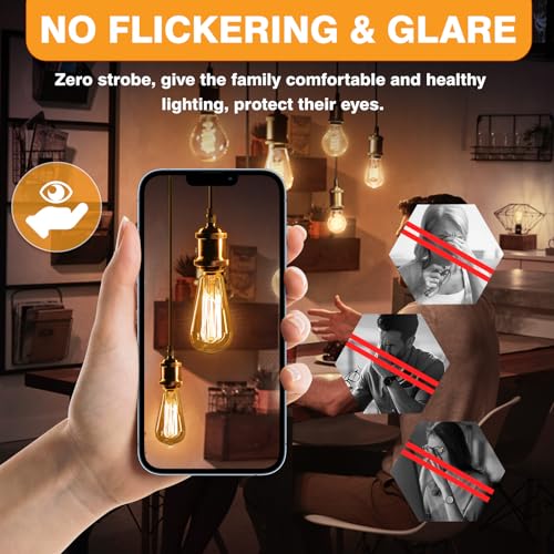 LED Light Bulbs Dimmable Vintage Edison Bulb (6 Count)