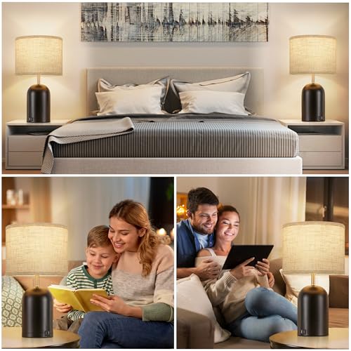 Touch Control Table Lamps Set of 2