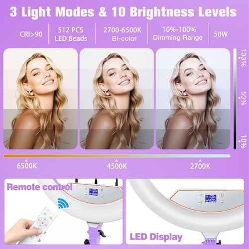 Professional 22" Ring Light with Stand