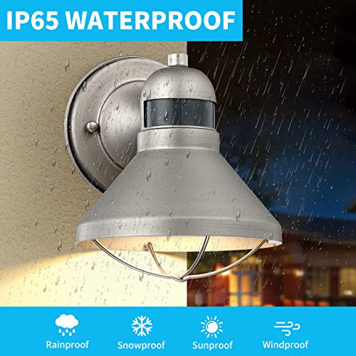 Motion Sensor Outdoor LED Wall Sconce Dusk to Dawn Exterior Barn Lighting