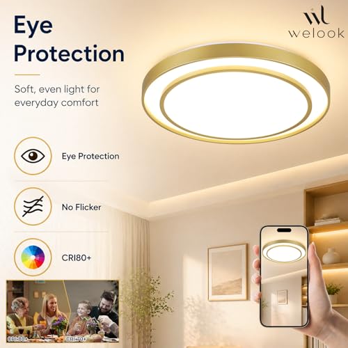 Gold LED Flush Mount Ceiling Light 20 Inch (Gold / 20Inch)
