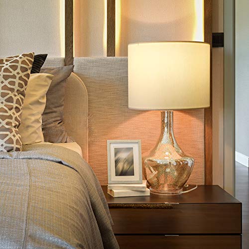 Lampshade Requires Self