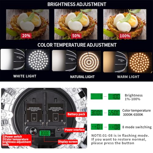 XPSYQIC Octagonal Softbox LED Continuous Light with Rechargeable Battery