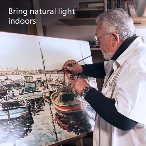 100W A19 4 Pack Ultra Definition Daylight (4 Count)
