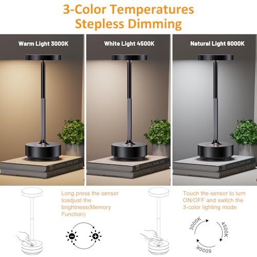 LED Cordless Table Lamp Rechargeable (2 Count)