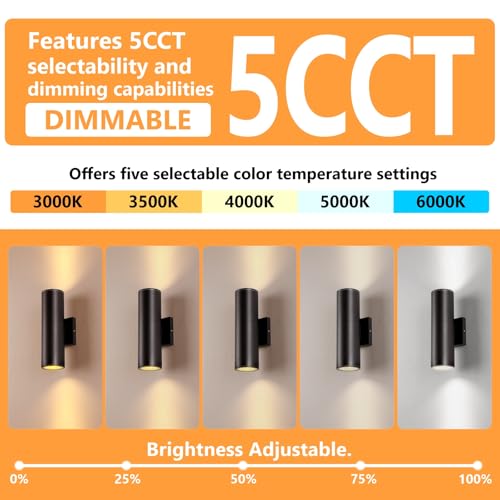 5CCT Dimmable Wall Lights Outdoor 2 Packs