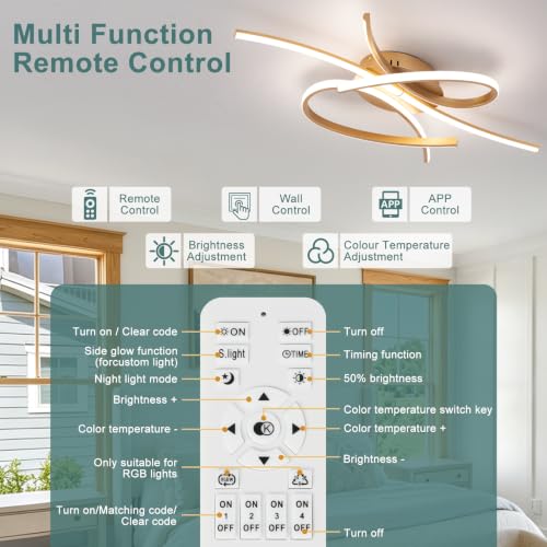 Modern LED Ceiling Light Fixture