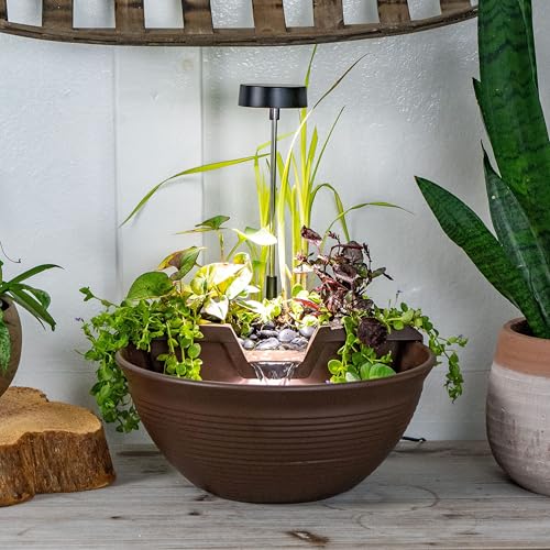AquaGarden Tabletop Fountain Kit
