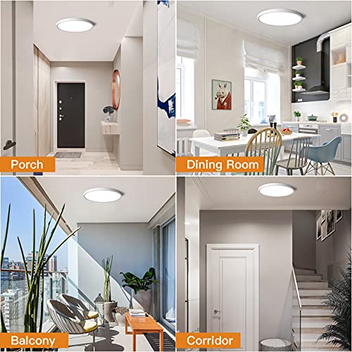 Dimmable Flush Mount Ceiling Light