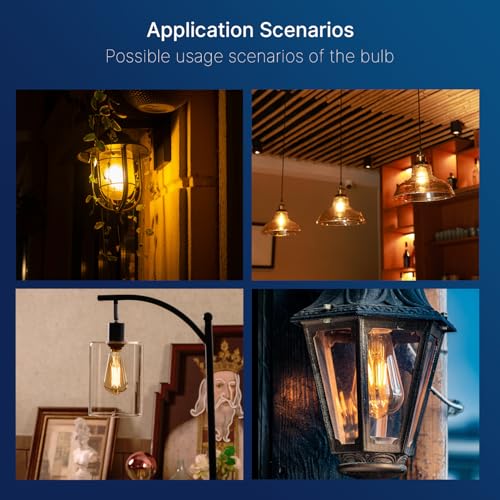 LED Edison Bulbs 100W Equivalent (6 Count)