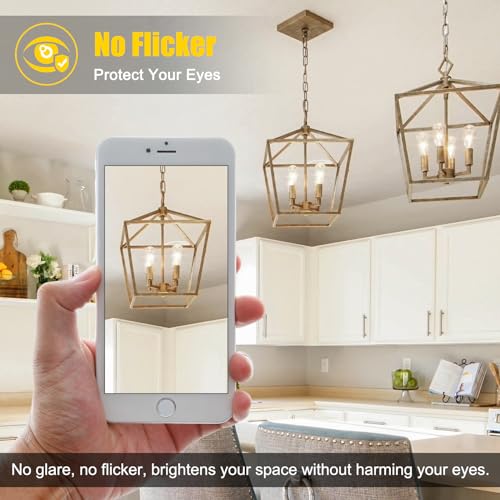 Dimmable Vintage LED Edison Bulbs (4 Count)