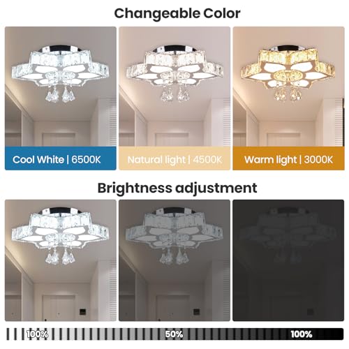 16.1" Dimmable Flower Crystal Ceiling Light