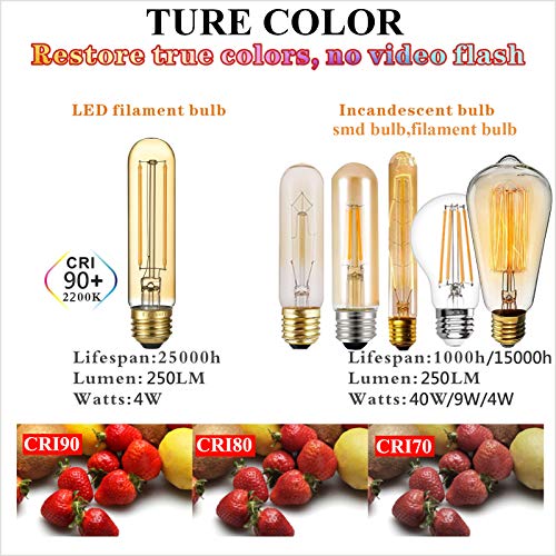 T10 Tubular E26 Light Bulb (6 Count)