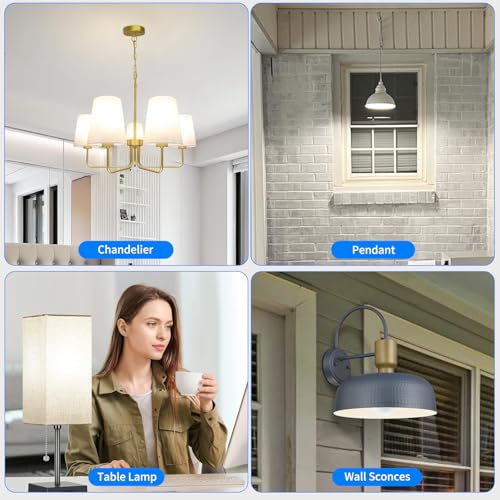 LED Light Bulb (6 Count)