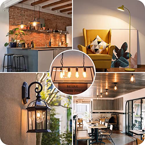 6 Pack Vintage LED Edsion Bulbs 100W Equivalent (6 Count)