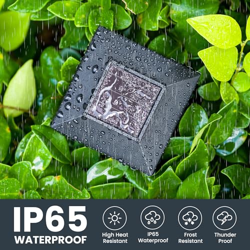 Solar Lights Outdoor Waterproof 10 Pack (6 Count)