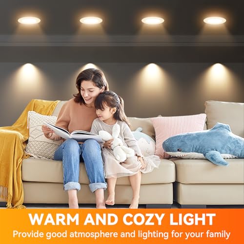 12 Pack BR30 Flood Light Bulb Indoor (12 Count)