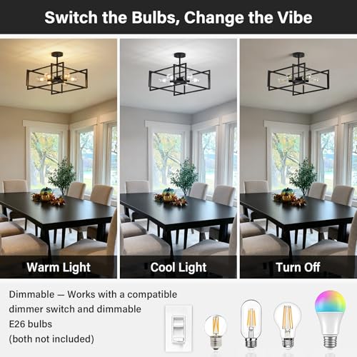 Black Kitchen Light Fixture