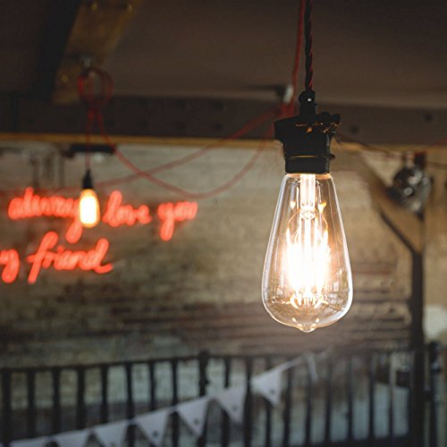 LED Edison Bulb (3 Count)