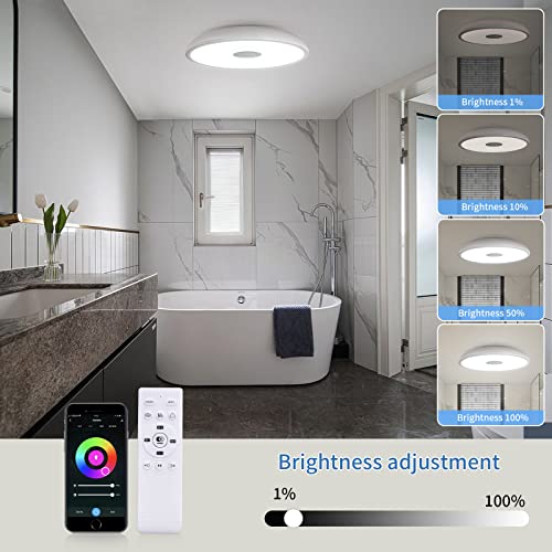 Smart Waterproof LED Flush Mount Ceiling Light Fixture