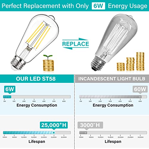 Dimmable Vintage LED Edison Bulbs 60W Equivalent 6W 850 Lumens (12 Count)