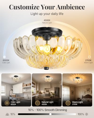 Semi Flush Mount Ceiling Light Fixture 11.8" Vinatge Black Ceiling Lights Mid Century Modern Clear Glass Close to Ceiling Lighting Fixtures for Bedroom Hallway Foyer Bathroom Kitchen Entryway