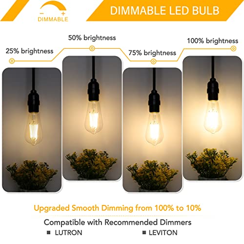 Dimmable Vintage LED Edison Bulbs 60W Equivalent 6W 850 Lumens (12 Count)