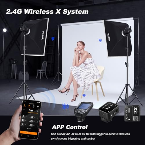MS300V 2 Pack Professional Studio Strobe Flash Light 300W Studio Flash Strobe kit 300W GN58 0.1 (2 Count)