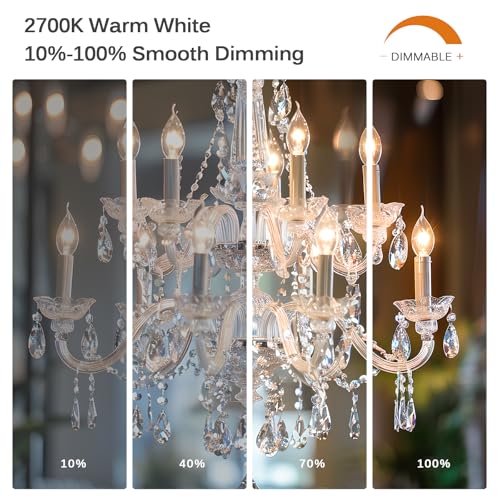Dimmable E12 LED Bulb 40 Watt Equivalent (12 Count)