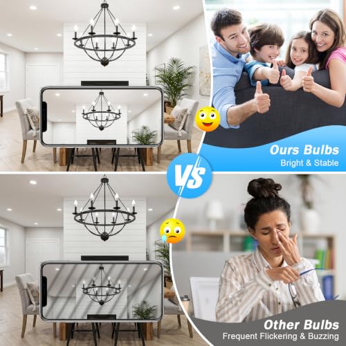 E12 LED Bulbs (12 Count)