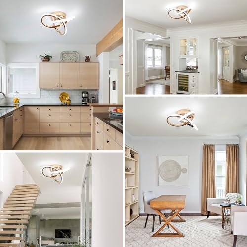 Modern LED Ceiling Light