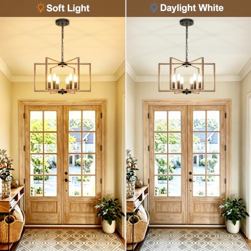 6 Light Rustic Chandelier
