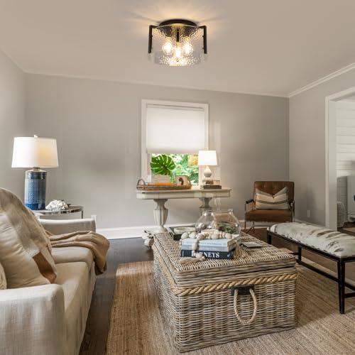 Black Flush Mount Ceiling Light Fixture