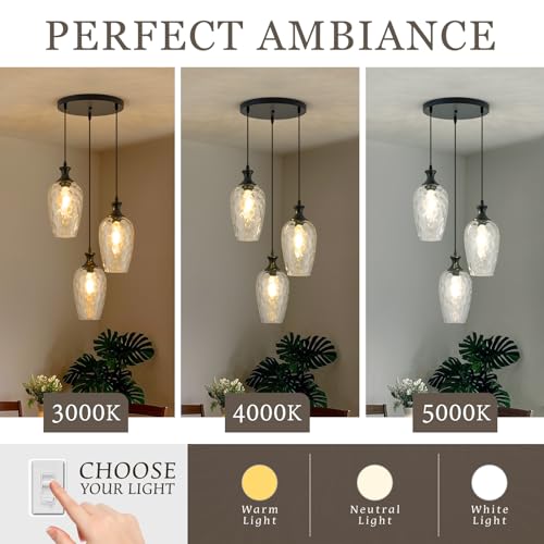 3 Light Cluster Pendant Lighting