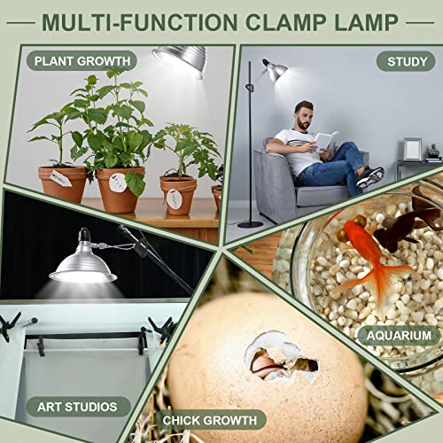 8 Pack Clamp Lamp Light with Aluminum Reflector (8 Count)