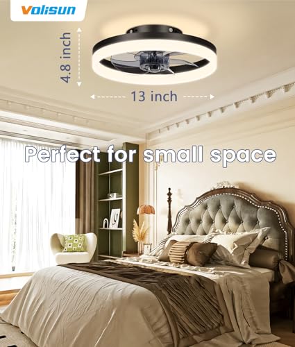 13 inch Small Ceiling Fans with Lights and Remote