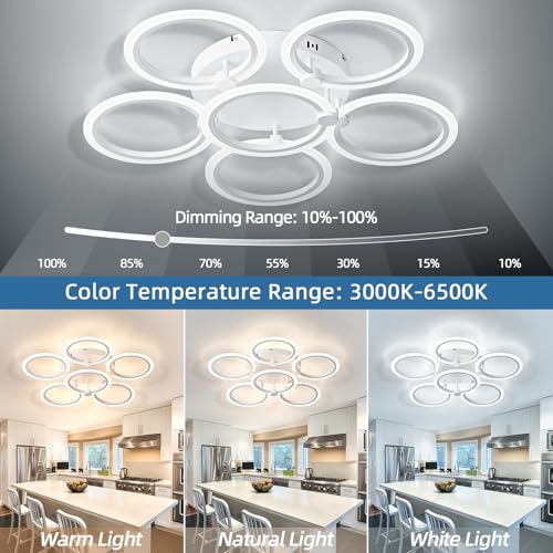 LED Ceiling Light