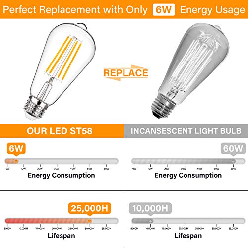 Vintage LED Edison Bulbs 60 Watt Equivalent (12 Count)